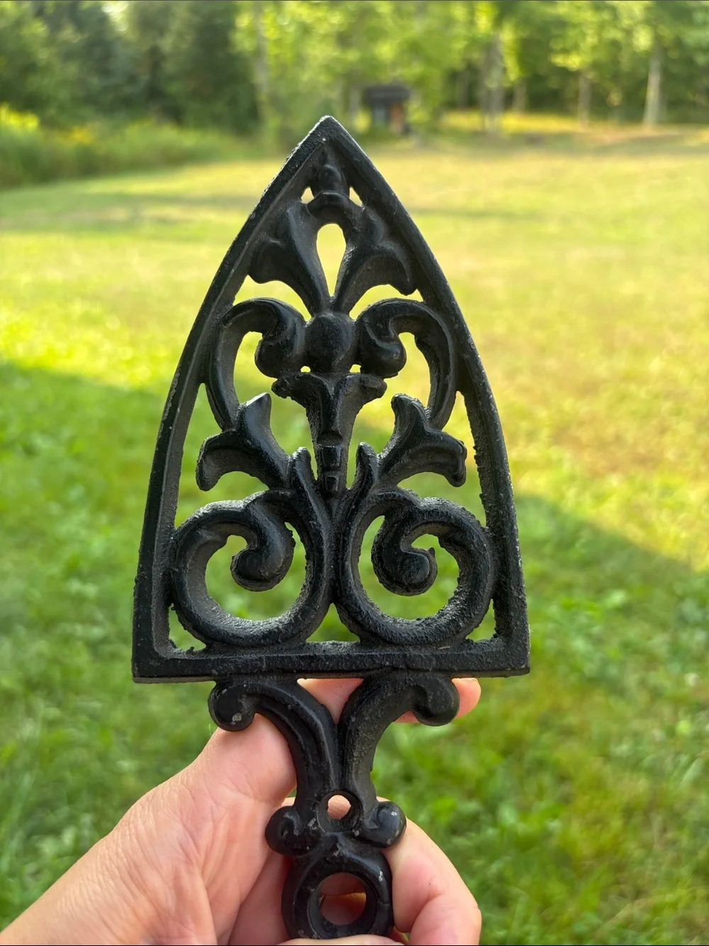 Vintage Black Ornate Wall Hook Plaque